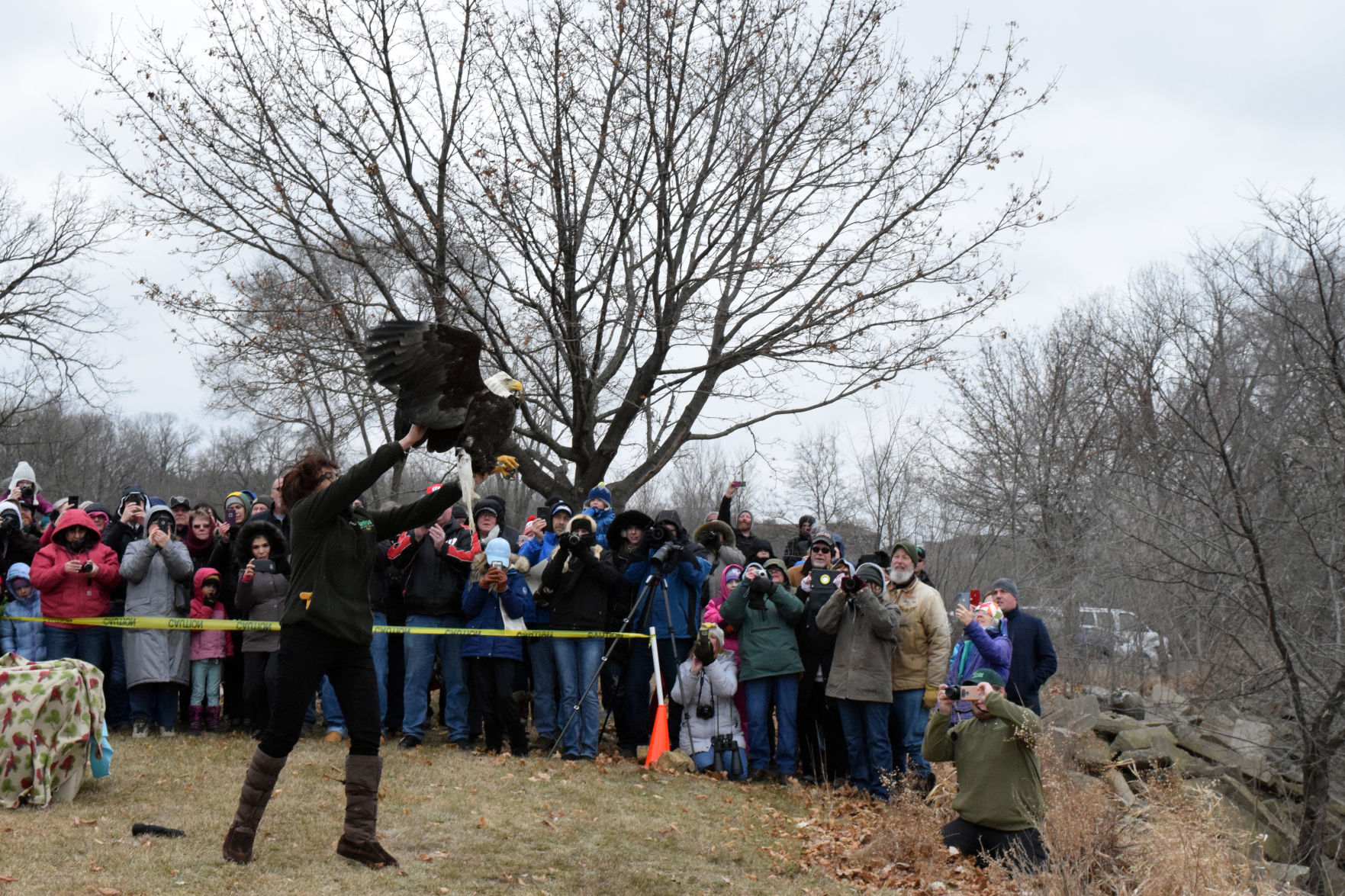 012019-sauk-gallery-eagle027